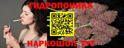 МДПВ Ливны