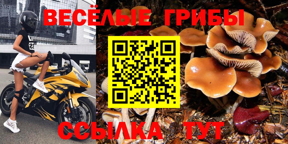 Псилоцибиновые грибы прущие грибы  Галлюциногенные грибы Magic Shrooms  Вход с VPN  Губкинский 