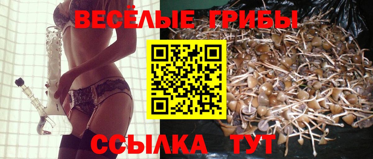 Псилоцибиновые грибы GOLDEN TEACHER Губкинский